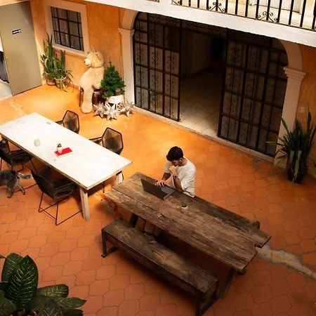 Lool Beh Hostal San Miguel de Allende Exteriör bild
